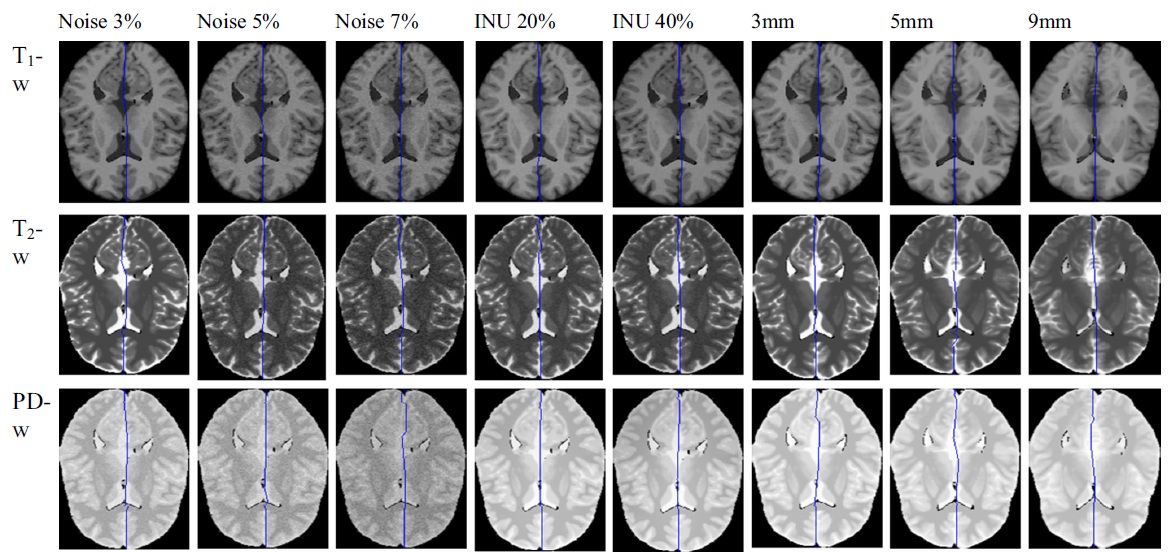 Data Science Illustration
